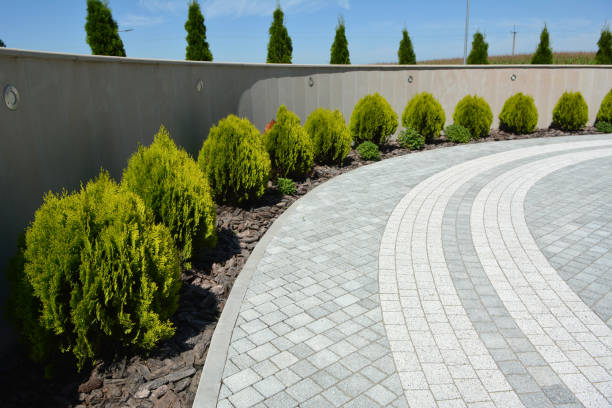 Best Driveway Paving Company  in Yucos, CA